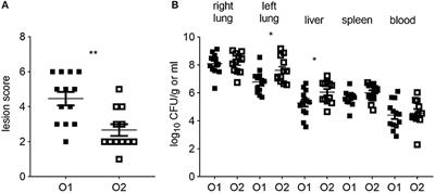 Avian Pathogenic Escherichia coli (APEC) Strain-Dependent Immunomodulation of Respiratory Granulocytes and Mononuclear Phagocytes in CSF1R-Reporter Transgenic Chickens